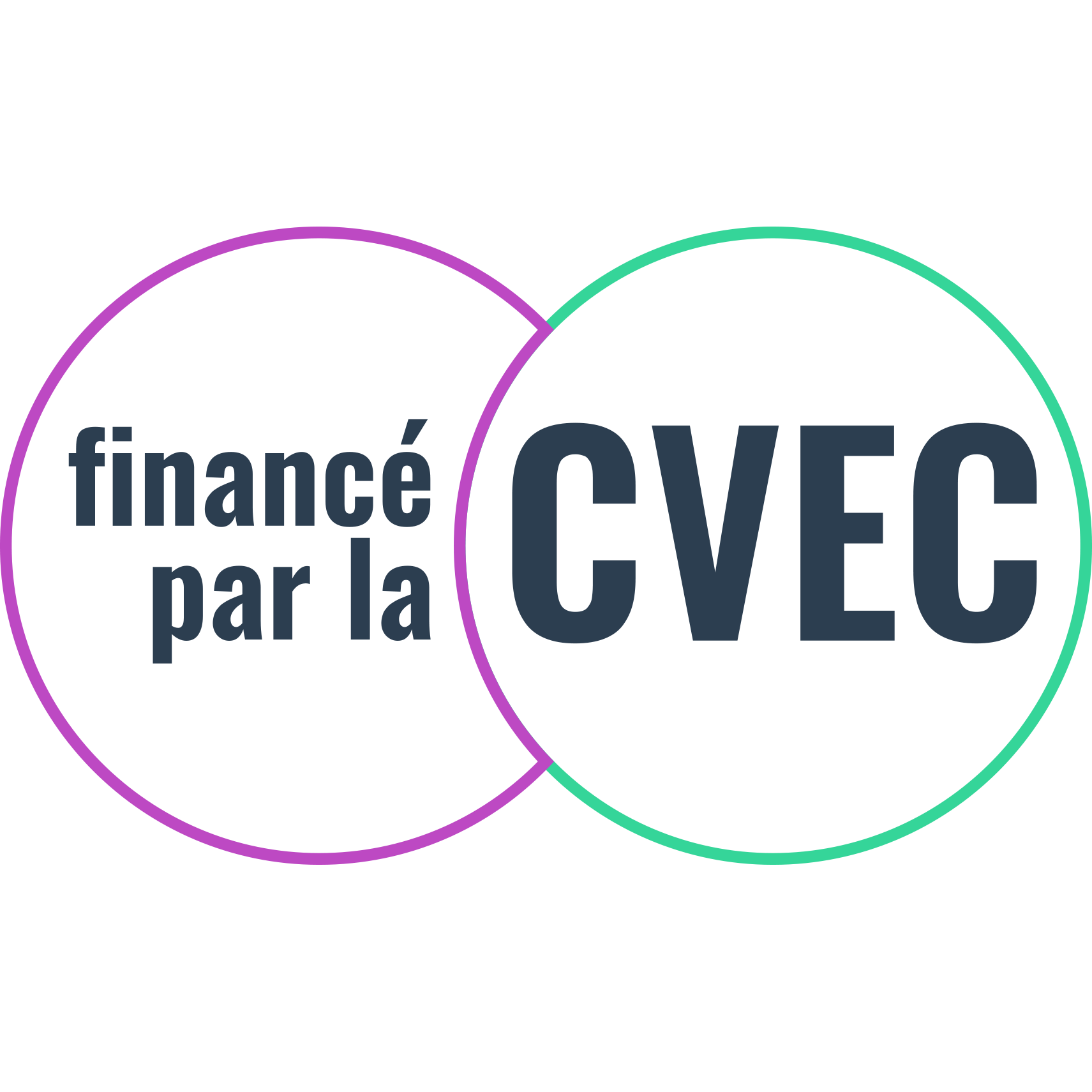 Logo CVEC